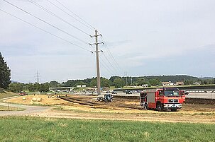 49668_8.jpg