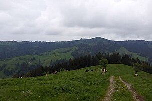 55970_8.jpg