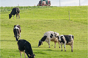 6130_8.jpg