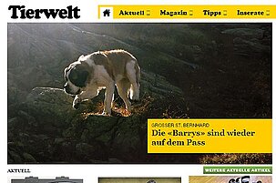 34563_8.jpg