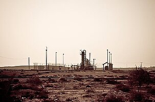 49071_8.jpg