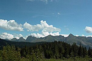 76296_8.jpg