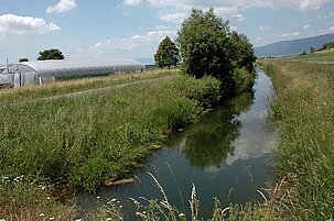 9185_8.jpg