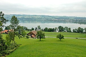 93256_8.jpg