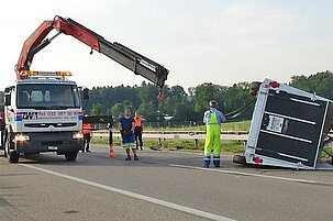 49478_8.jpg