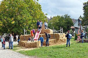 66177_8.jpg