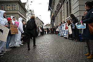 80337_8.jpg