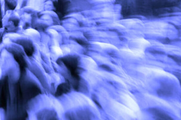 5134_8.jpg