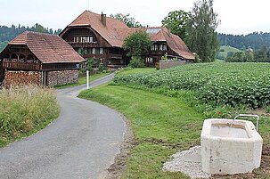54784_8.jpg