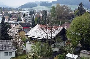 62802_8.jpg