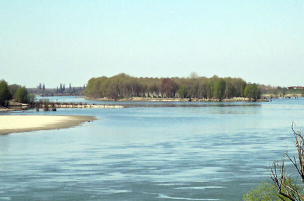 6763_8.jpg