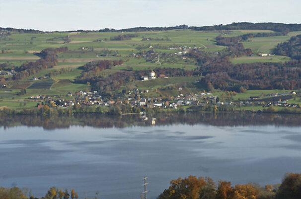 9158_8.jpg